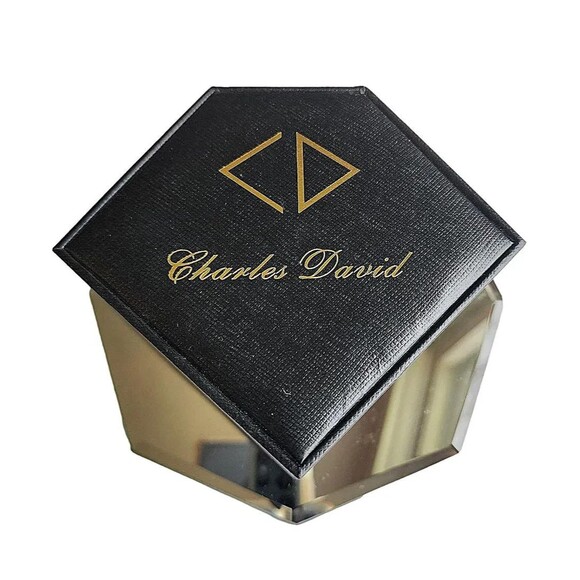 Vintage Charles David Men Vintage Charles David Men\'s Wristwatch Magma GSS Grand Prix Band- New